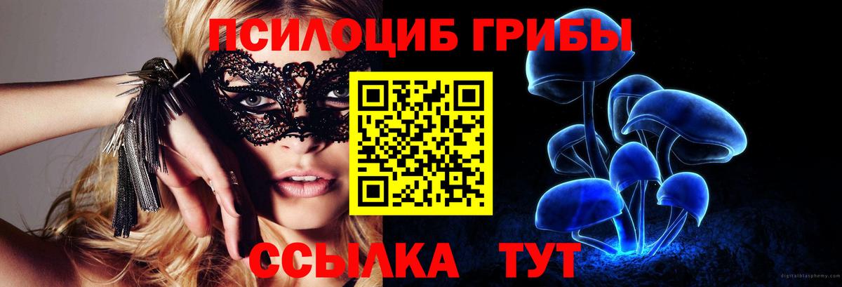 Псилоцибиновые грибы прущие грибы Назрань